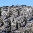 Aussicht am Tioga Pass