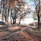 Aussicht auf Bank im Winterdunst