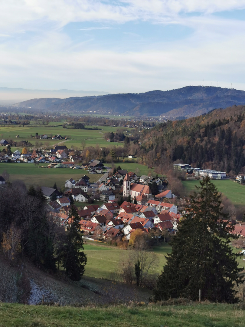 Aussicht auf Buchenbach 2