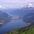 Aussicht auf dem Niesen / CH