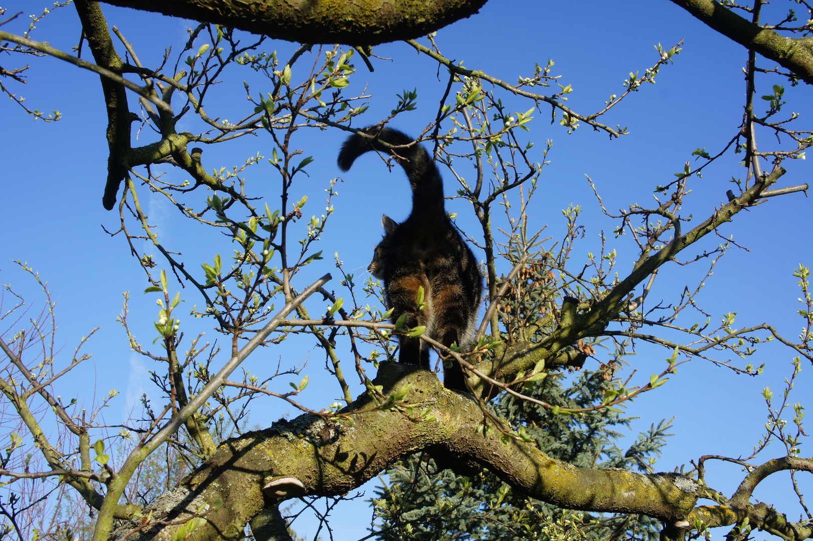 Aussicht auf den Frühling