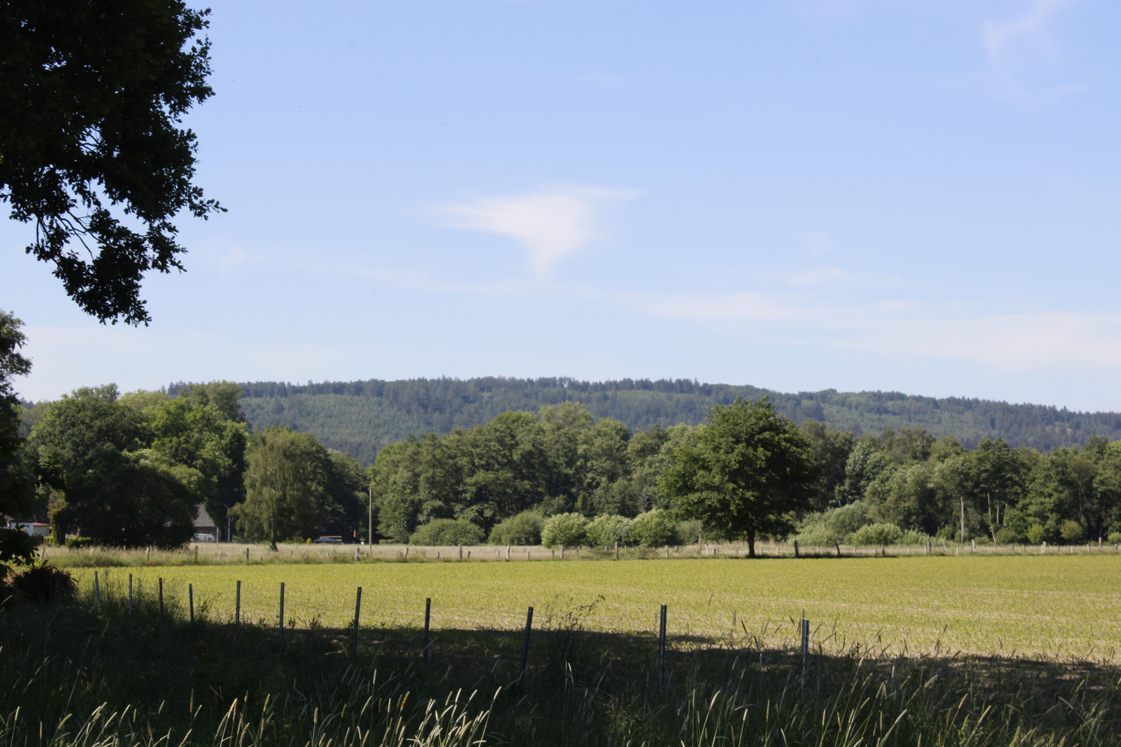 Aussicht auf den Hasbergener hüggelwald