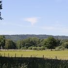 Aussicht auf den Hasbergener hüggelwald