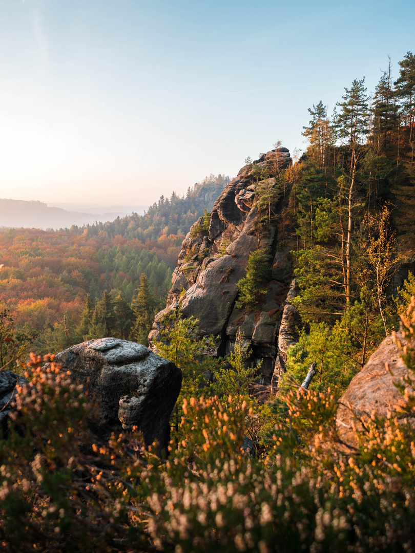 Aussicht auf den Herbstwald