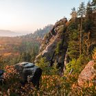 Aussicht auf den Herbstwald