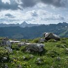 Aussicht auf den Hochvogel