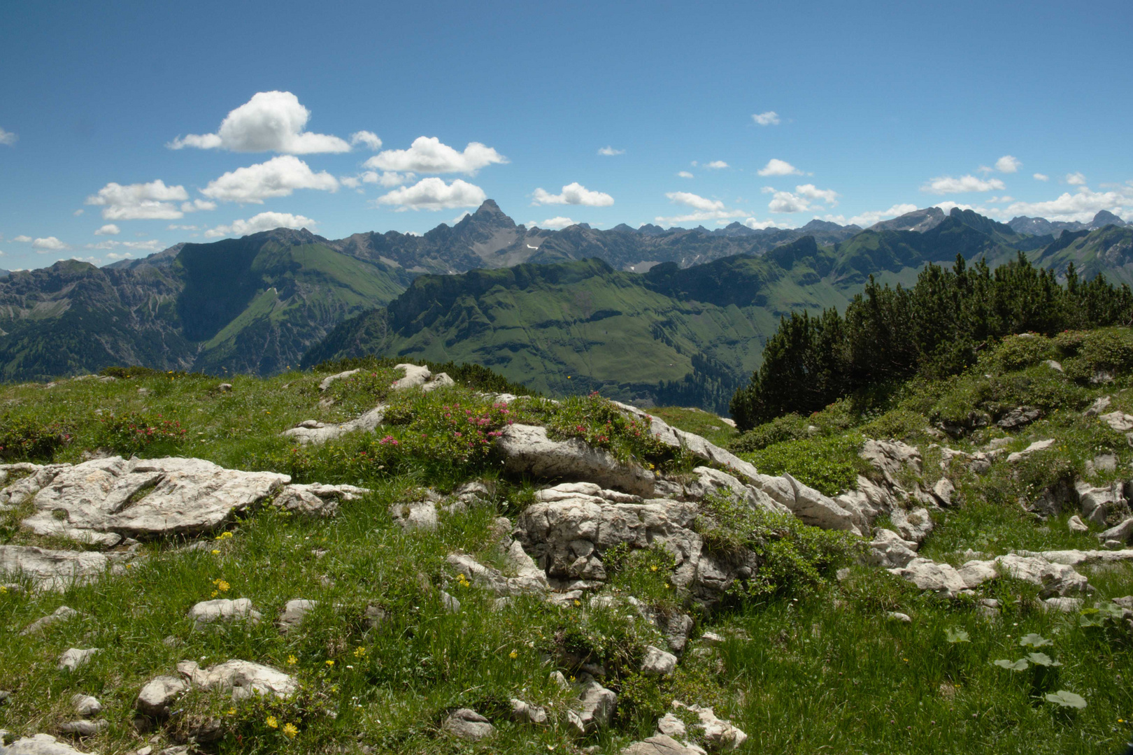 Aussicht auf den Hochvogel