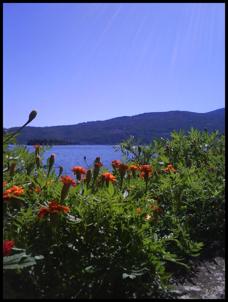 Aussicht auf den Lago Maggiore