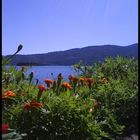 Aussicht auf den Lago Maggiore