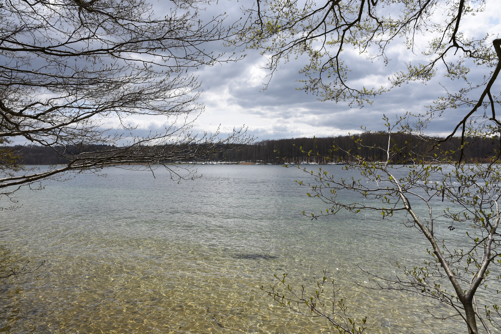 Aussicht auf den schönen Werbellinsee...