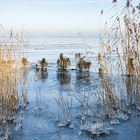 Aussicht auf den Winter