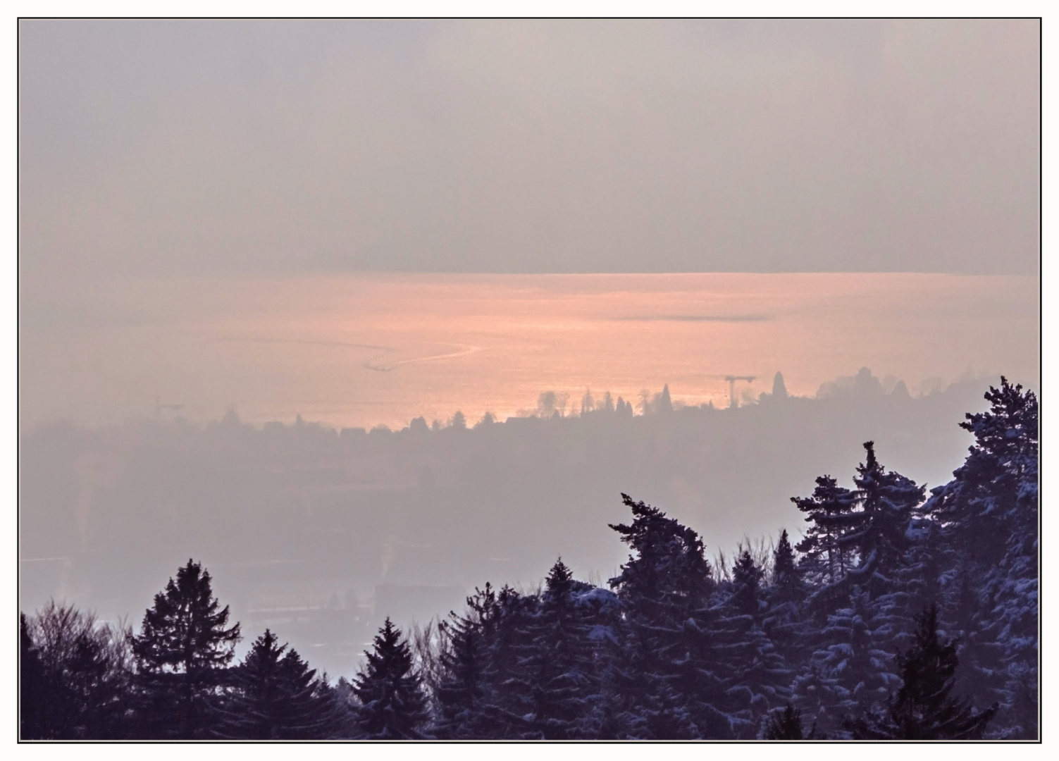 Aussicht auf den Zürichsee