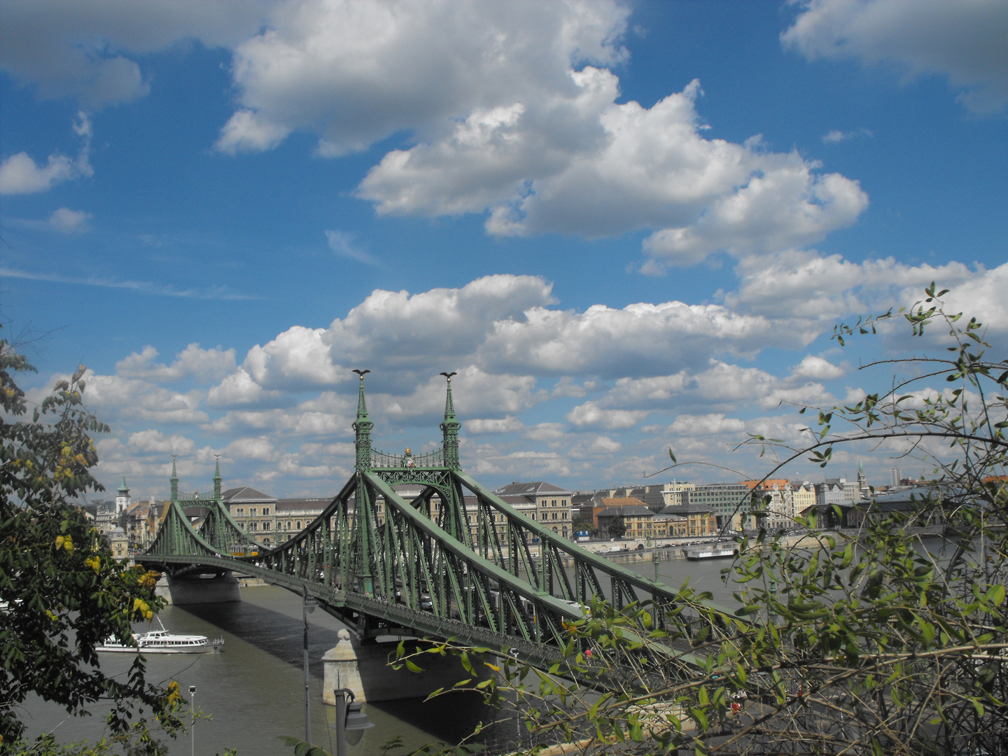 Aussicht auf die Elisabethenbrücke // Budapest