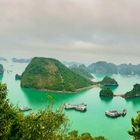 Aussicht auf die Halong Bucht