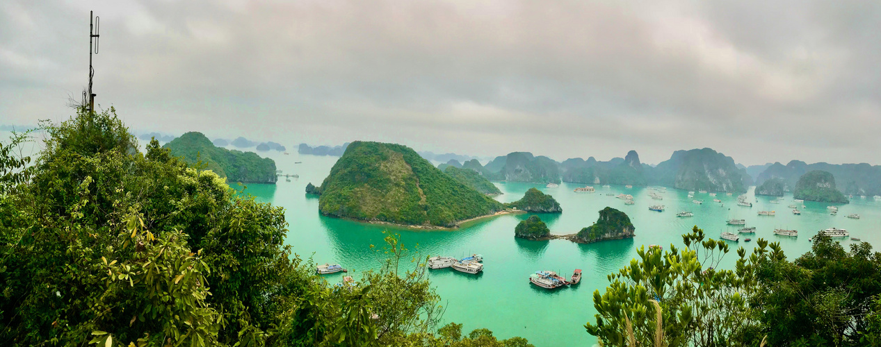 Aussicht auf die Halong Bucht