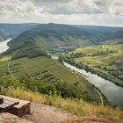 Aussicht auf die Mosel vom Calmont-Gipfel