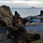 Aussicht auf die Ostsee