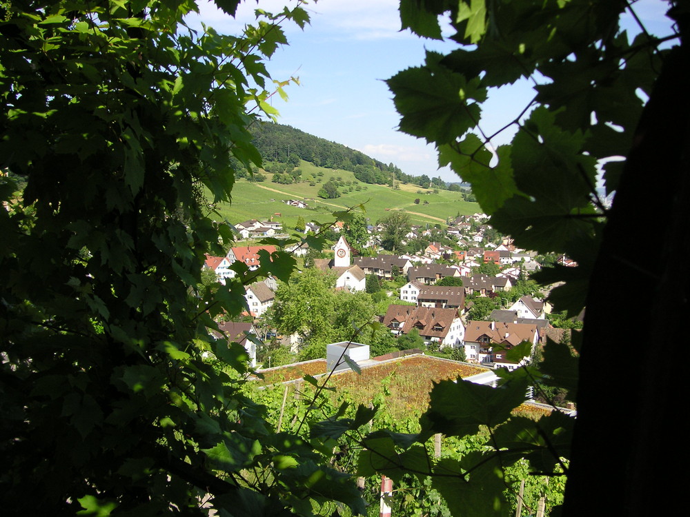 Aussicht auf Dorf