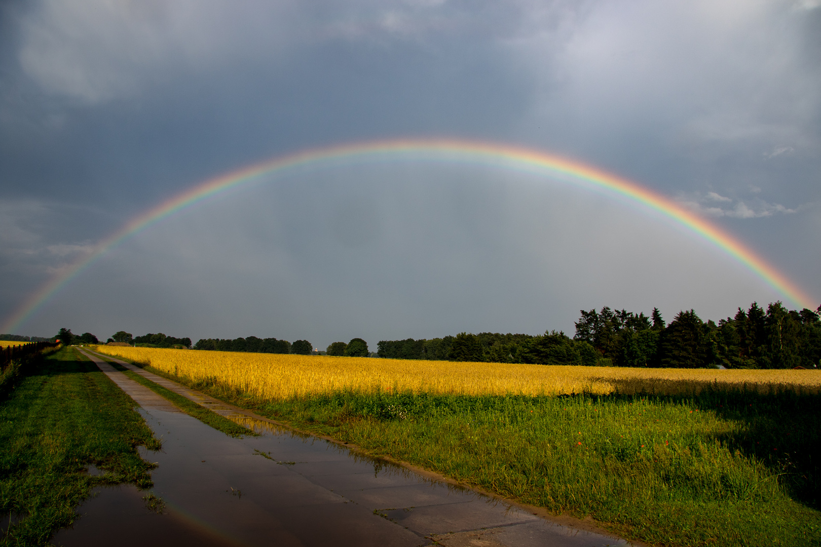 Aussicht auf eine gute Ernte