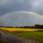 Aussicht auf eine gute Ernte