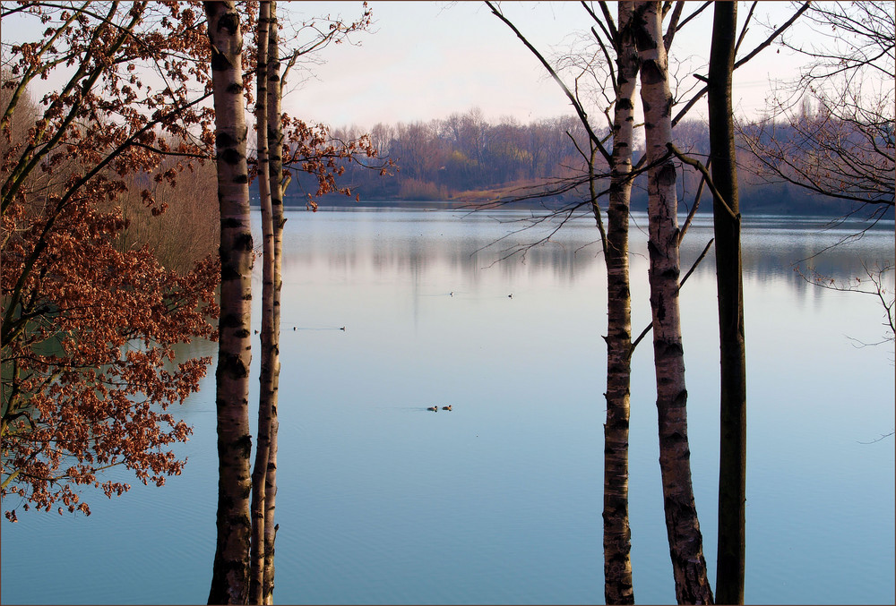 Aussicht auf einen See....