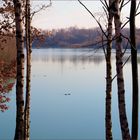 Aussicht auf einen See....