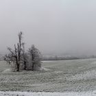 Aussicht auf Esslingen