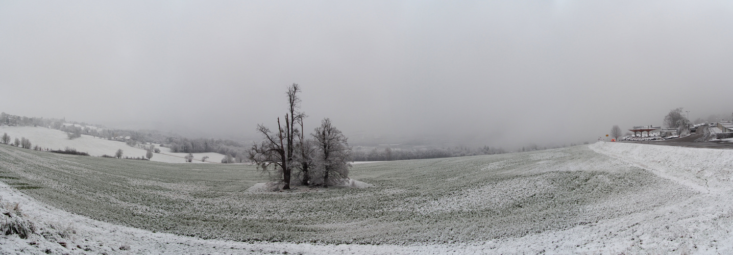 Aussicht auf Esslingen