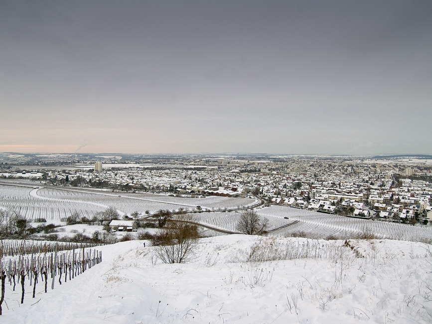 Aussicht auf Fellbach