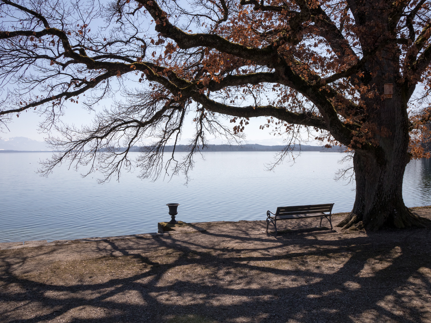 Aussicht auf Frühling - 1