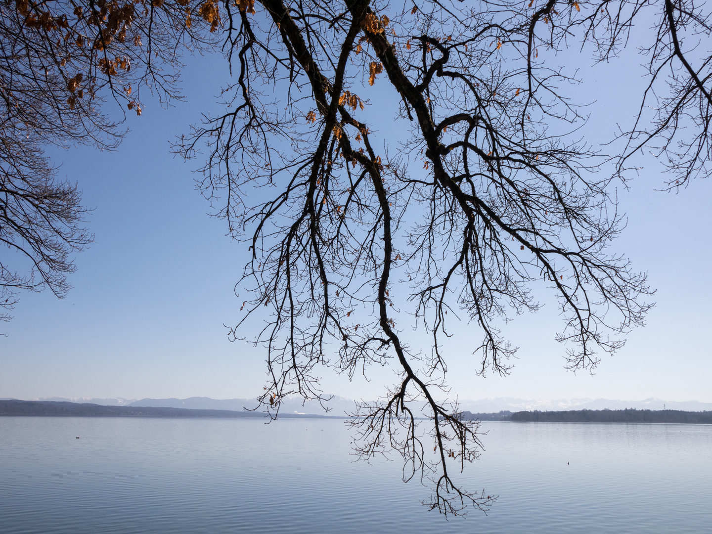 Aussicht auf Frühling - 2