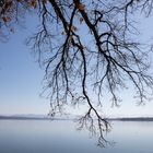 Aussicht auf Frühling - 2