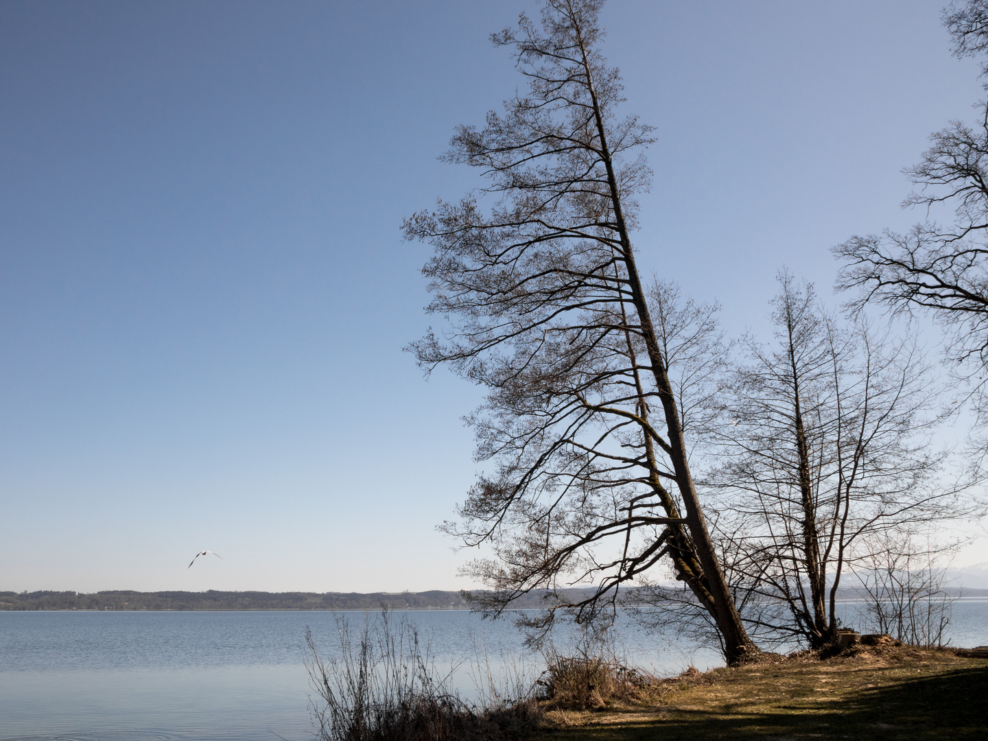 Aussicht auf Frühling -3