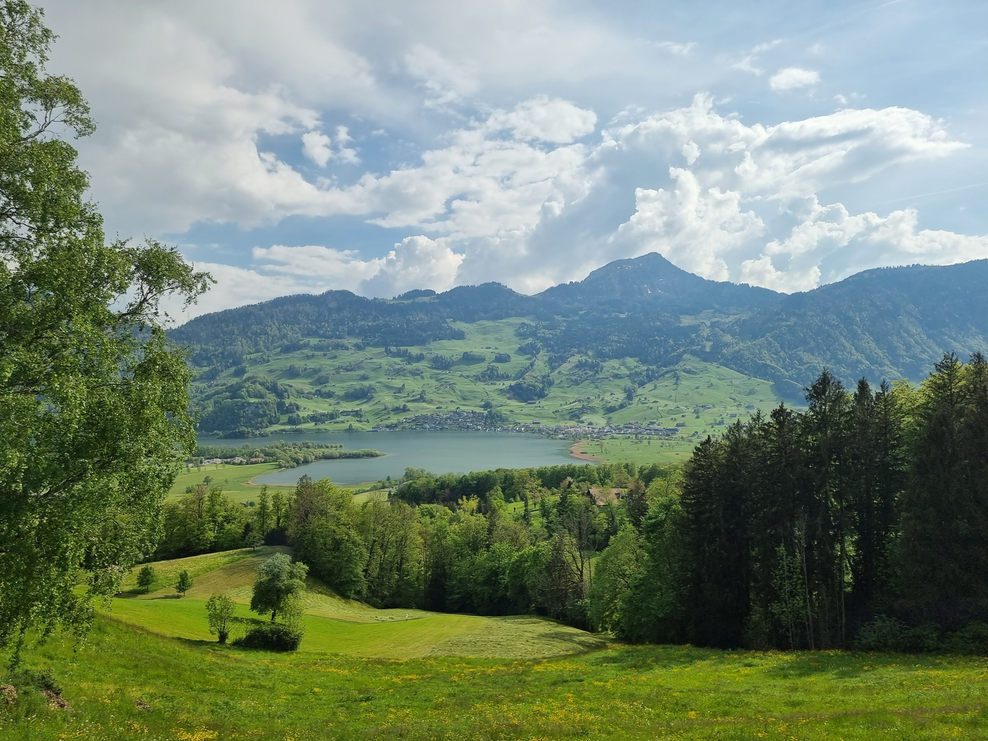 Aussicht auf Lauerzersee und Hochflue