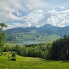 Aussicht auf Lauerzersee und Hochflue