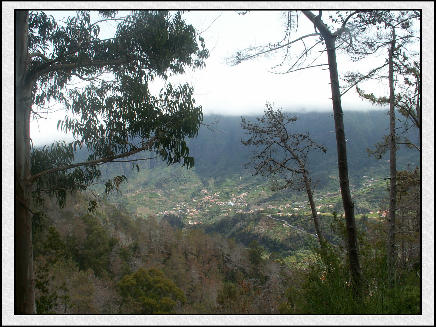 Aussicht auf Madeira