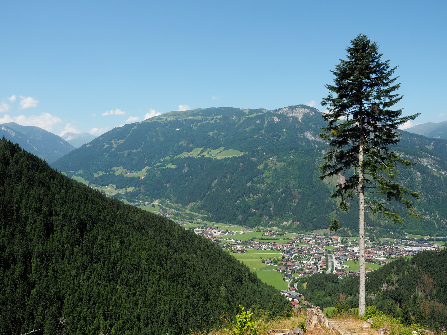 Aussicht auf Mayrhofen