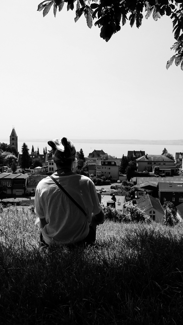 Aussicht auf Meersburg