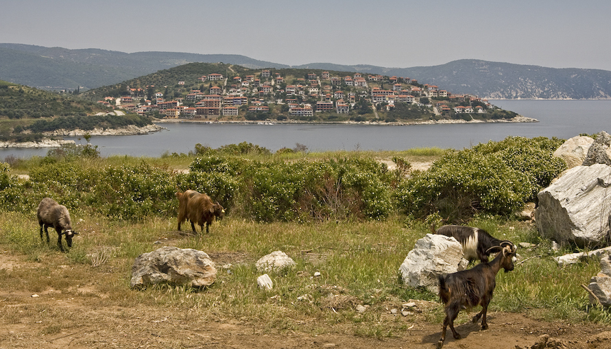 Aussicht auf Pyrgadikia