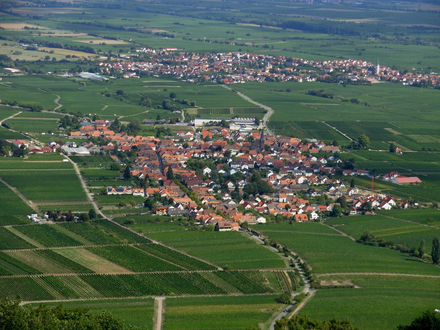 Aussicht auf Rhodt under Rierburg