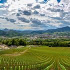 Aussicht auf Sankt Veit an der Glan (Kärnten)