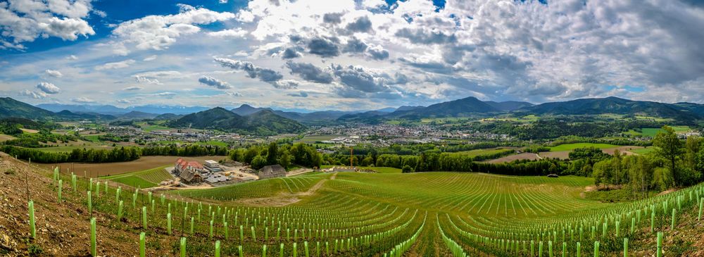 Aussicht auf Sankt Veit an der Glan (Kärnten)