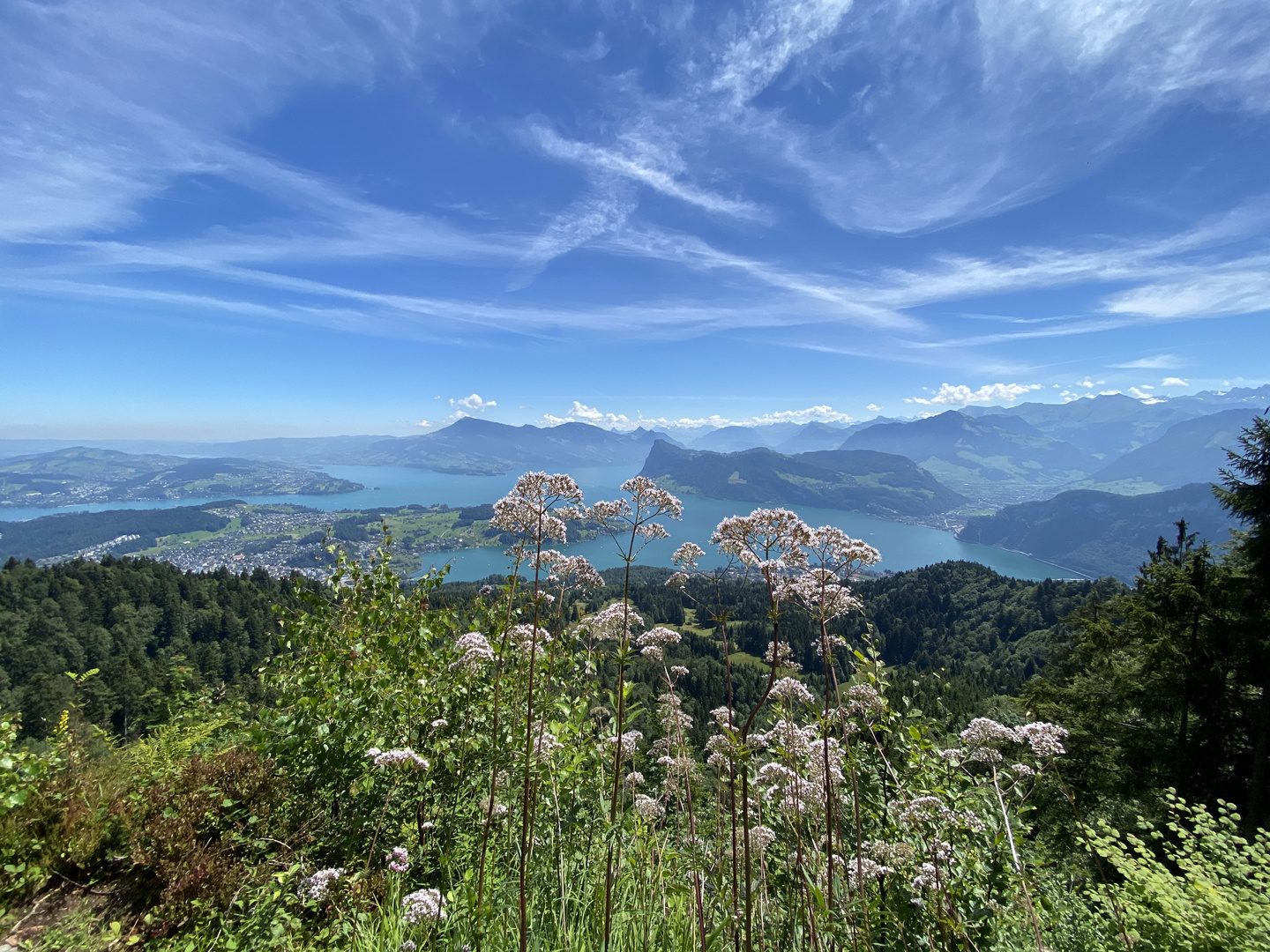 Aussicht auf Vierwaldstättersee