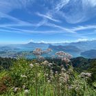 Aussicht auf Vierwaldstättersee