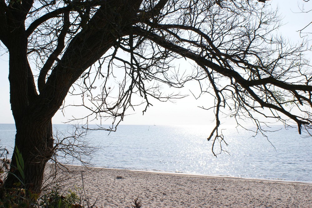 Aussicht auf Wasser und Strand