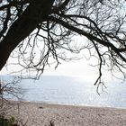 Aussicht auf Wasser und Strand