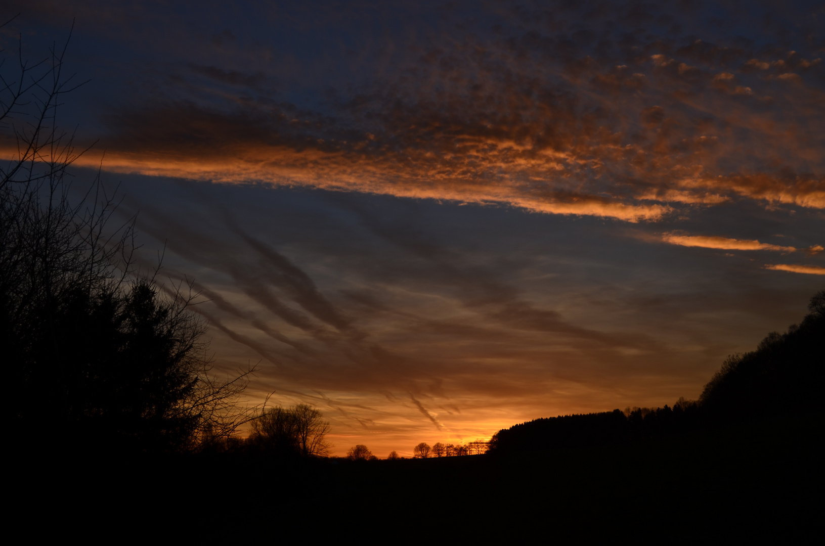 Aussicht aus der Pferdebox