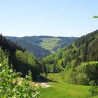 Aussicht aus einem Schwarzwaldtal