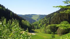 Aussicht aus einem Schwarzwaldtal