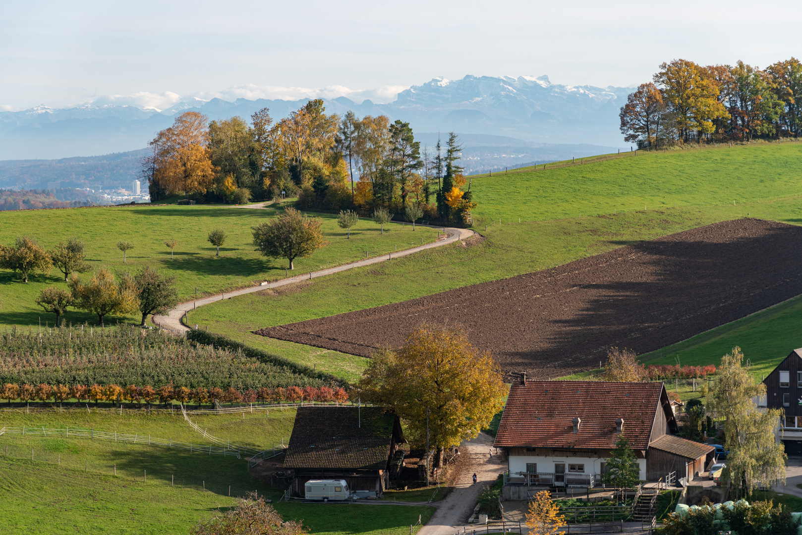 Aussicht bei Regensberg